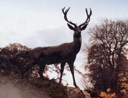 Le Cerf, Rond-point Royal