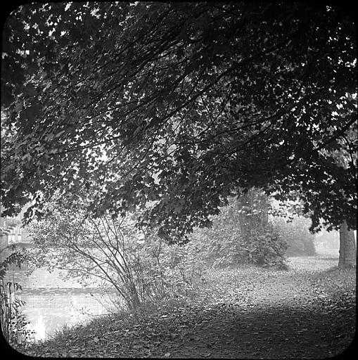 Le Grand Lac, Le V�sinet - photographe Jean Jablonski
