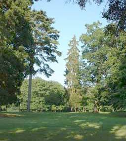 Parc de La Brosse (Cher)