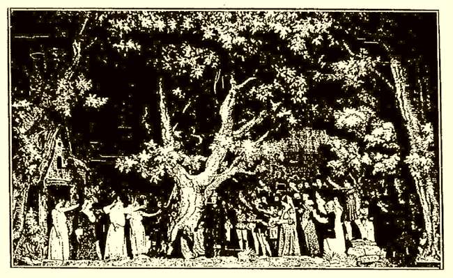 Le poirier de mis�re